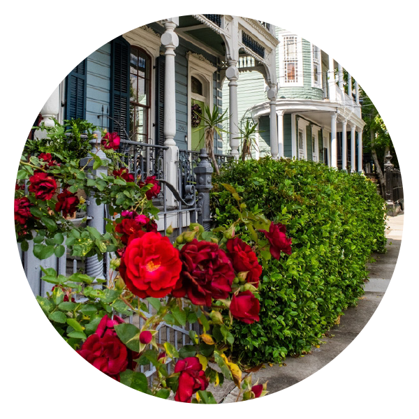 PSTM25 Guide to New Orleans