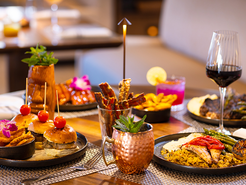 Guide to Houston - Plastic Surgery The Meeting 2026